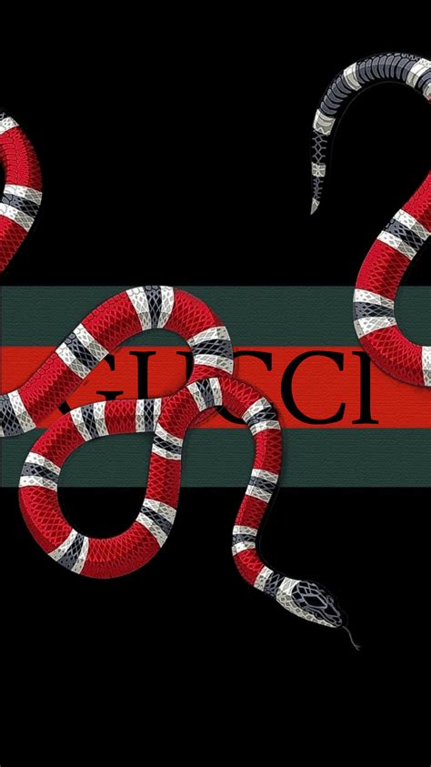 gucci snake senza sfondo|snake in gucci.